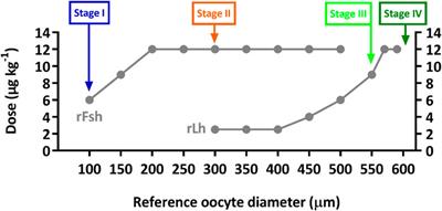 Transcriptome analysis of flathead grey mullet (Mugil cephalus) ovarian development induced by recombinant gonadotropin hormones
